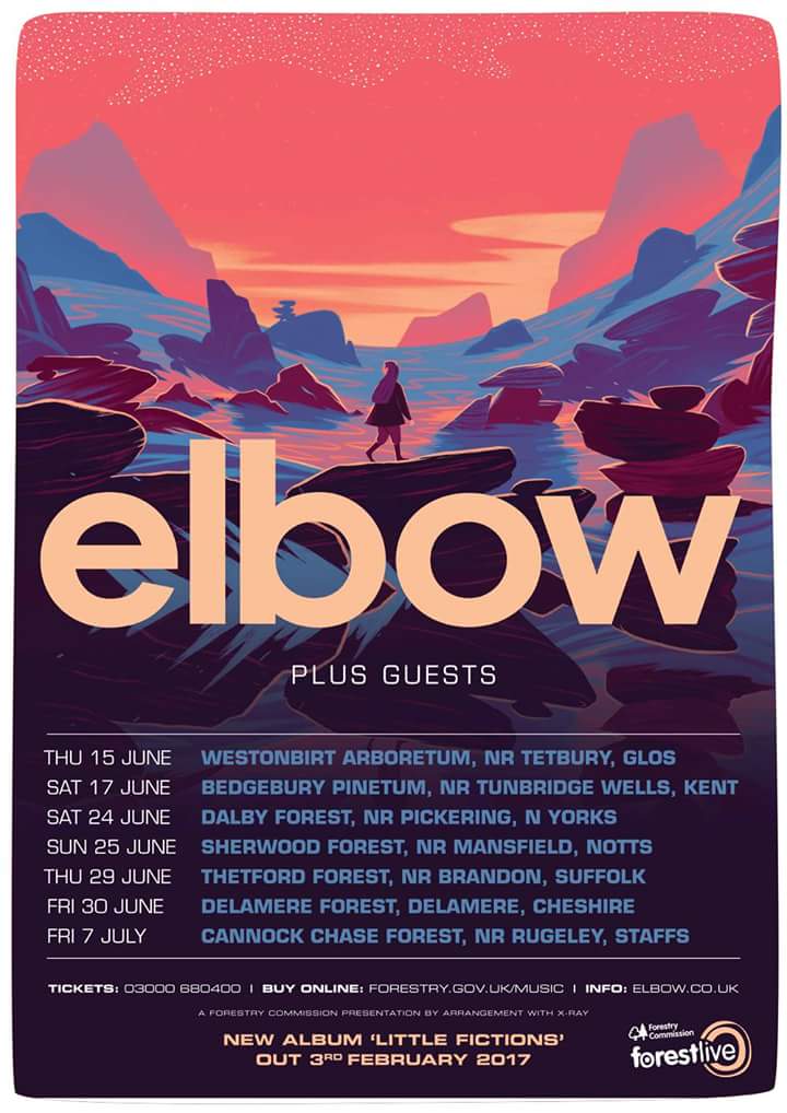 wp-1484748214729 image