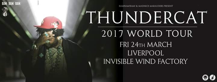 wp-1485376200054 image