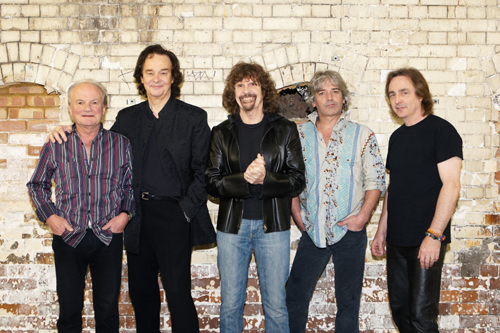 wp-1486325309044 image