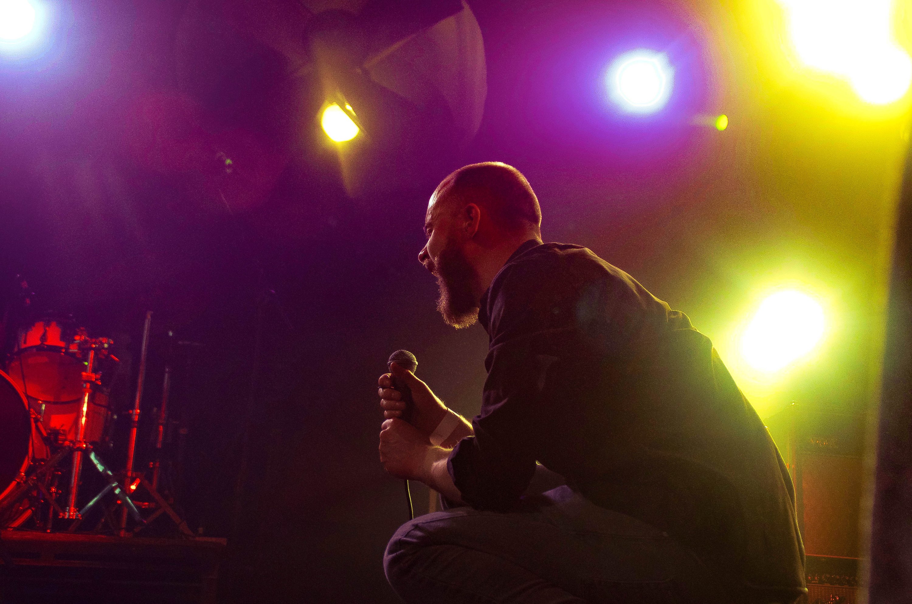 Elevant, photography by Pip Johnson